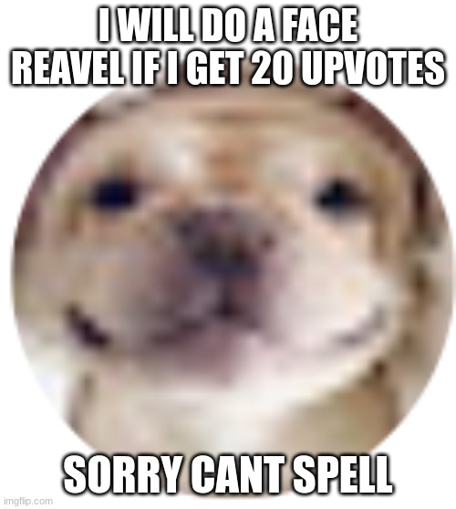 face reaveal | I WILL DO A FACE REAVEL IF I GET 20 UPVOTES; SORRY CANT SPELL | made w/ Imgflip meme maker