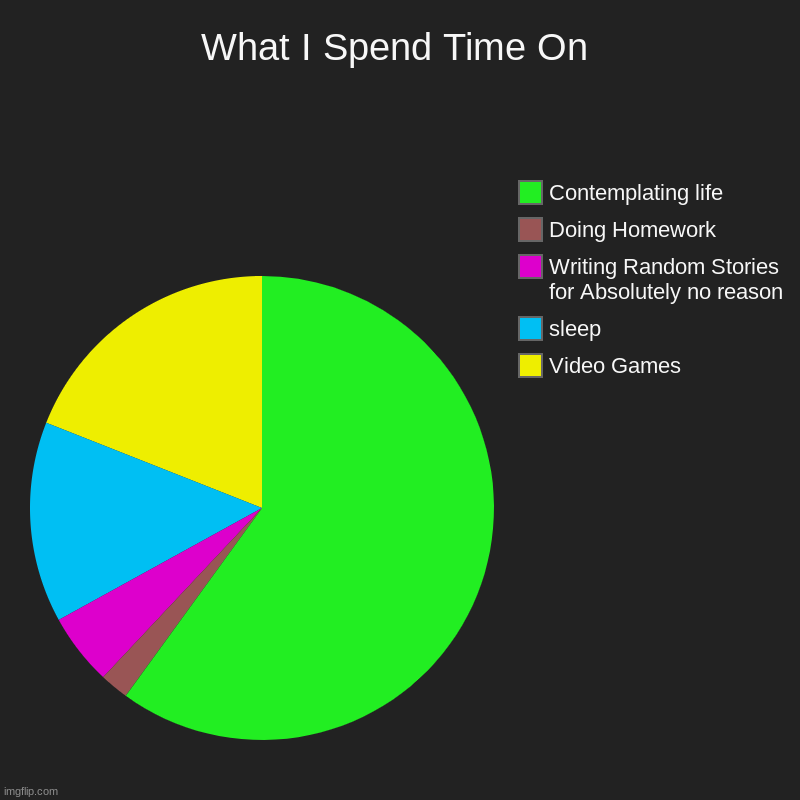 What I Spend Time On | Video Games, sleep, Writing Random Stories for Absolutely no reason, Doing Homework, Contemplating life | image tagged in charts,pie charts | made w/ Imgflip chart maker