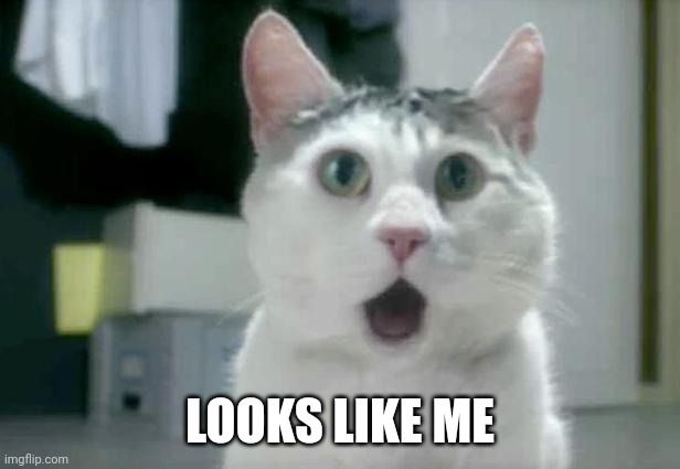 OMG Cat Meme | LOOKS LIKE ME | image tagged in memes,omg cat | made w/ Imgflip meme maker