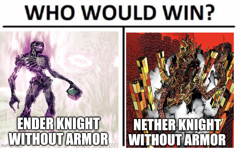 Come on, really who would win | ENDER KNIGHT WITHOUT ARMOR; NETHER KNIGHT WITHOUT ARMOR | image tagged in memes,who would win | made w/ Imgflip meme maker