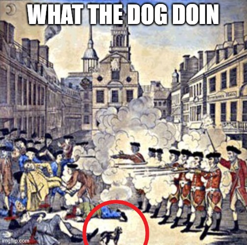 WHAT THE DOG DOIN | image tagged in what da dog doin boston massacre | made w/ Imgflip meme maker