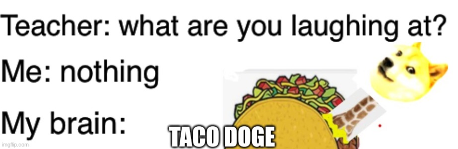 taco | TACO DOGE | image tagged in relatable | made w/ Imgflip meme maker