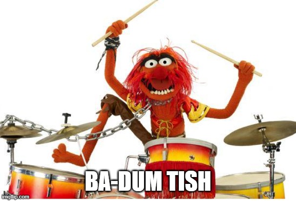 animal drums | BA-DUM TISH | image tagged in animal drums | made w/ Imgflip meme maker