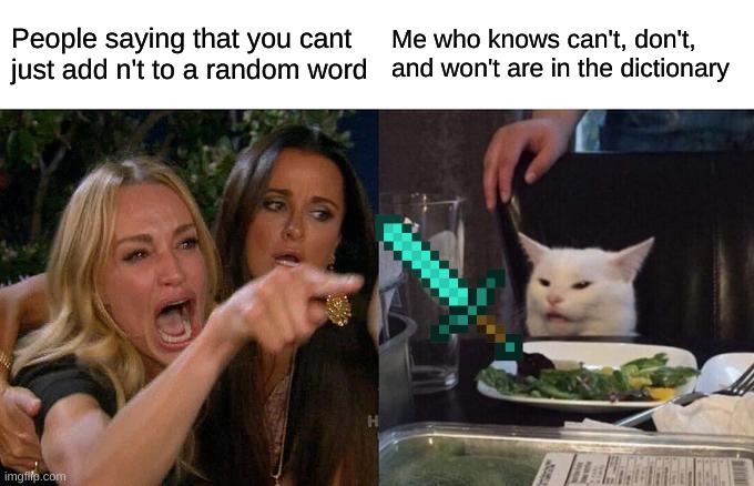 Woman Yelling At Cat | People saying that you cant just add n't to a random word; Me who knows can't, don't, and won't are in the dictionary | image tagged in memes,woman yelling at cat,funny,karen,minecraft | made w/ Imgflip meme maker