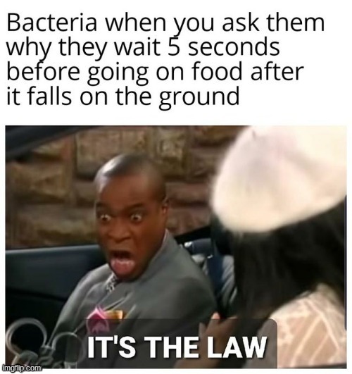 It's the LAW | image tagged in it's the law | made w/ Imgflip meme maker