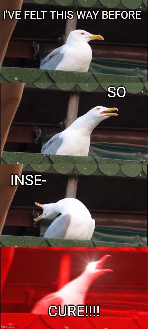 Inhaling Seagull | I'VE FELT THIS WAY BEFORE; SO; INSE-; CURE!!!! | image tagged in memes,inhaling seagull,linkin park | made w/ Imgflip meme maker