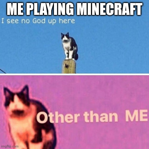 Hail pole cat | ME PLAYING MINECRAFT | image tagged in hail pole cat | made w/ Imgflip meme maker