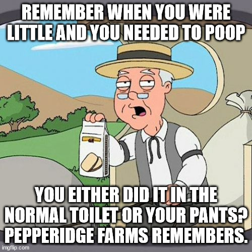 Using the toilet when little | REMEMBER WHEN YOU WERE LITTLE AND YOU NEEDED TO POOP; YOU EITHER DID IT IN THE NORMAL TOILET OR YOUR PANTS? PEPPERIDGE FARMS REMEMBERS. | image tagged in memes,pepperidge farm remembers | made w/ Imgflip meme maker