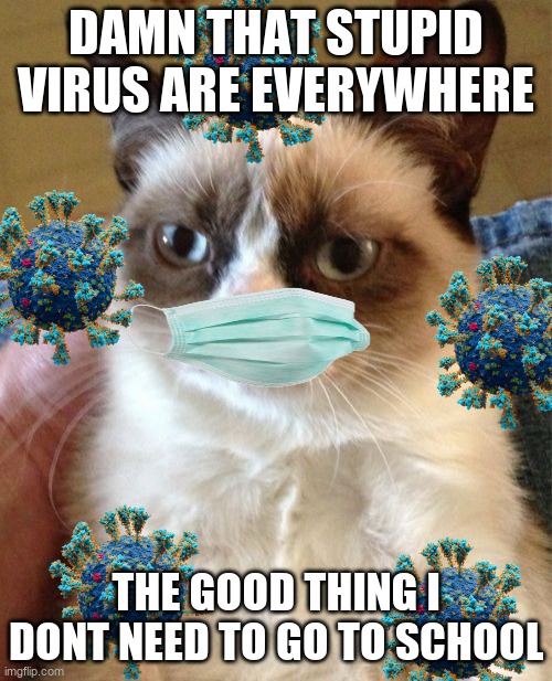 i hate surivanoroc featuring:grumpy cat | DAMN THAT STUPID VIRUS ARE EVERYWHERE; THE GOOD THING I DONT NEED TO GO TO SCHOOL | image tagged in memes,grumpy cat | made w/ Imgflip meme maker