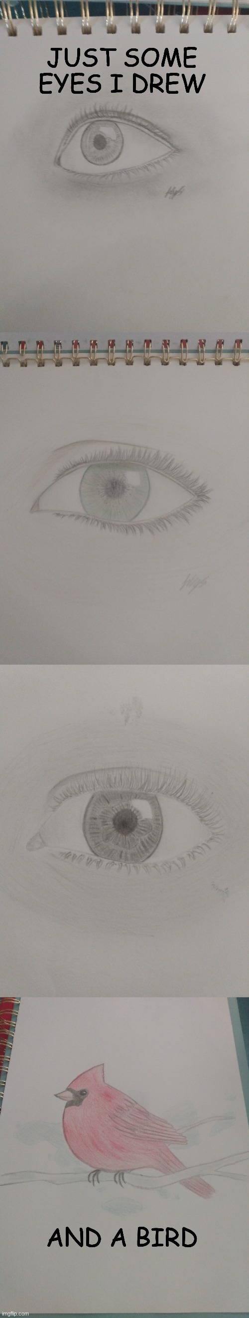 drawing | JUST SOME EYES I DREW; AND A BIRD | image tagged in drawing | made w/ Imgflip meme maker
