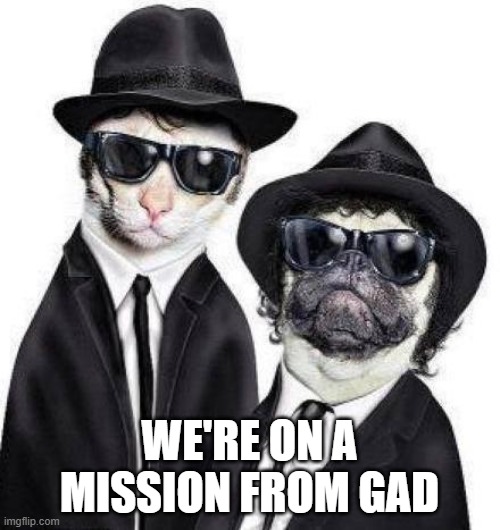 Blues Brothers Animals | WE'RE ON A MISSION FROM GAD | image tagged in blues brothers animals | made w/ Imgflip meme maker
