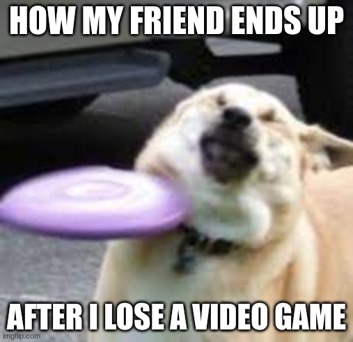 Mega Oof | HOW MY FRIEND ENDS UP; AFTER I LOSE A VIDEO GAME | image tagged in oof,memes,funny memes,funny,reality,dogs | made w/ Imgflip meme maker