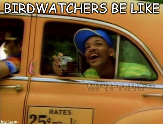 ahh, nature | BIRDWATCHERS BE LIKE | image tagged in fresh prince of bel air | made w/ Imgflip meme maker