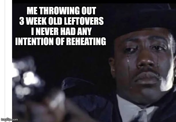 ME THROWING OUT 3 WEEK OLD LEFTOVERS I NEVER HAD ANY INTENTION OF REHEATING | image tagged in funny memes | made w/ Imgflip meme maker