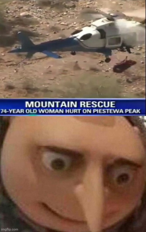 Mountain rescue | image tagged in gru meme,memes,you had one job,news,you had one job just the one,funny | made w/ Imgflip meme maker