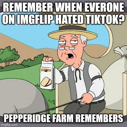 Ye | REMEMBER WHEN EVERONE ON IMGFLIP HATED TIKTOK? PEPPERIDGE FARM REMEMBERS | image tagged in memes,pepperidge farm remembers | made w/ Imgflip meme maker