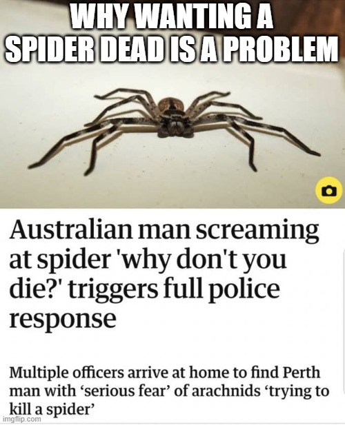 Choose Life | WHY WANTING A SPIDER DEAD IS A PROBLEM | image tagged in headlines | made w/ Imgflip meme maker