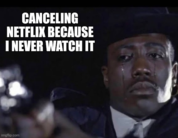 CANCELING NETFLIX BECAUSE I NEVER WATCH IT | image tagged in funny memes | made w/ Imgflip meme maker