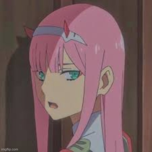 zero two gasp | image tagged in zero two gasp | made w/ Imgflip meme maker