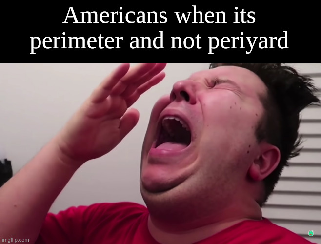 Nikacado Avocado Cries | Americans when its perimeter and not periyard | image tagged in nikacado avocado cries | made w/ Imgflip meme maker