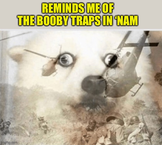 PTSD dog | REMINDS ME OF THE BOOBY TRAPS IN ‘NAM | image tagged in ptsd dog | made w/ Imgflip meme maker