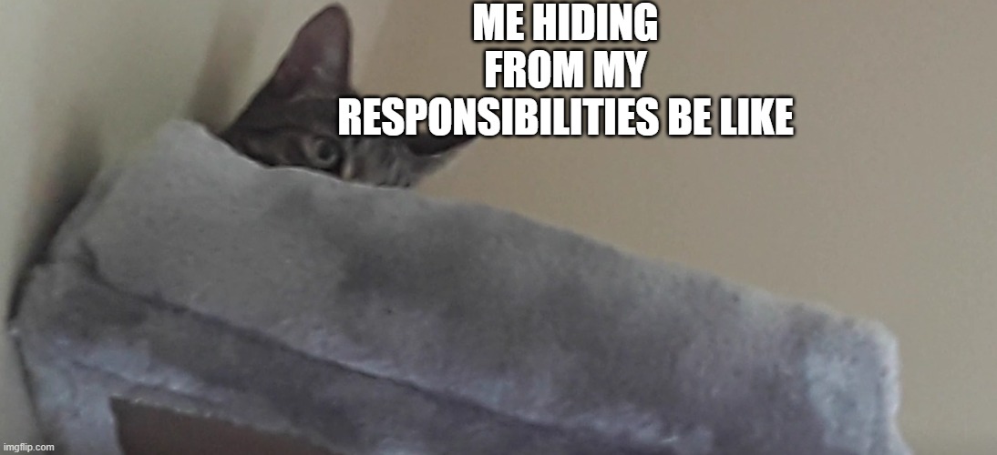 i failed | ME HIDING FROM MY RESPONSIBILITIES BE LIKE | image tagged in cats | made w/ Imgflip meme maker