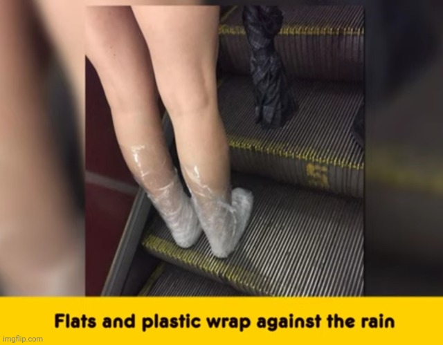 image tagged in funny memes | made w/ Imgflip meme maker