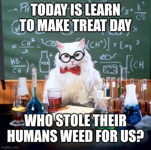 Chemistry Cat | TODAY IS LEARN TO MAKE TREAT DAY; WHO STOLE THEIR HUMANS WEED FOR US? | image tagged in memes,chemistry cat | made w/ Imgflip meme maker