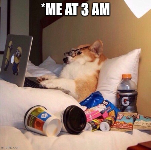 Lazy dog in bed |  *ME AT 3 AM | image tagged in lazy dog in bed | made w/ Imgflip meme maker