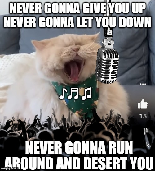 give this cat a record deal | NEVER GONNA GIVE YOU UP
NEVER GONNA LET YOU DOWN; ♪♬♫; NEVER GONNA RUN AROUND AND DESERT YOU | image tagged in yawning,fat,cat,singing,rickroll,concert | made w/ Imgflip meme maker