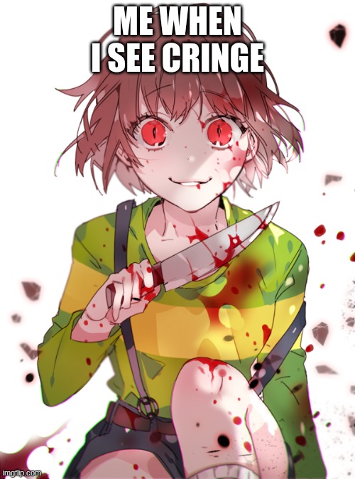 no more | ME WHEN I SEE CRINGE | image tagged in undertale chara | made w/ Imgflip meme maker