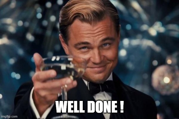 Leonardo Dicaprio Cheers Meme | WELL DONE ! | image tagged in memes,leonardo dicaprio cheers | made w/ Imgflip meme maker