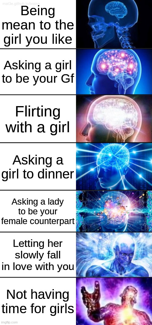 Big Brain | Being mean to the girl you like; Asking a girl to be your Gf; Flirting with a girl; Asking a girl to dinner; Asking a lady to be your female counterpart; Letting her slowly fall in love with you; Not having time for girls | image tagged in 7-tier expanding brain | made w/ Imgflip meme maker