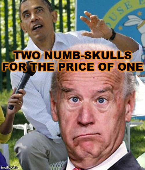 Two numb-skulls for the price of one | TWO NUMB-SKULLS FOR THE PRICE OF ONE | image tagged in joke biden - confused president pudd'in head | made w/ Imgflip meme maker