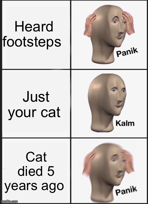 Panik Kalm Panik | Heard footsteps; Just your cat; Cat died 5 years ago | image tagged in memes,panik kalm panik | made w/ Imgflip meme maker
