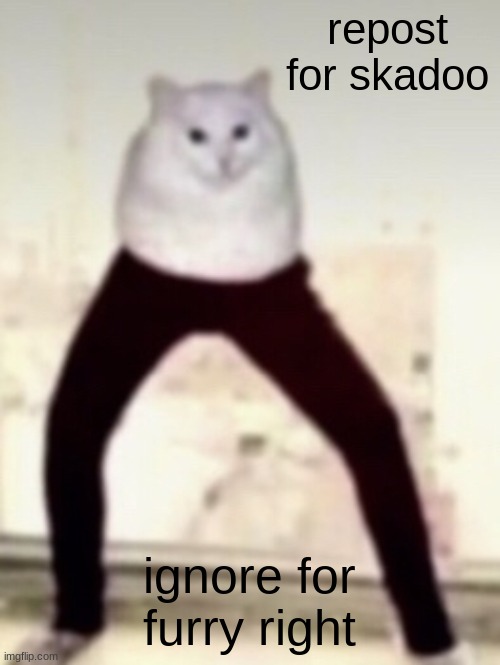 skadoo. | repost for skadoo; ignore for furry right | image tagged in skadoo | made w/ Imgflip meme maker