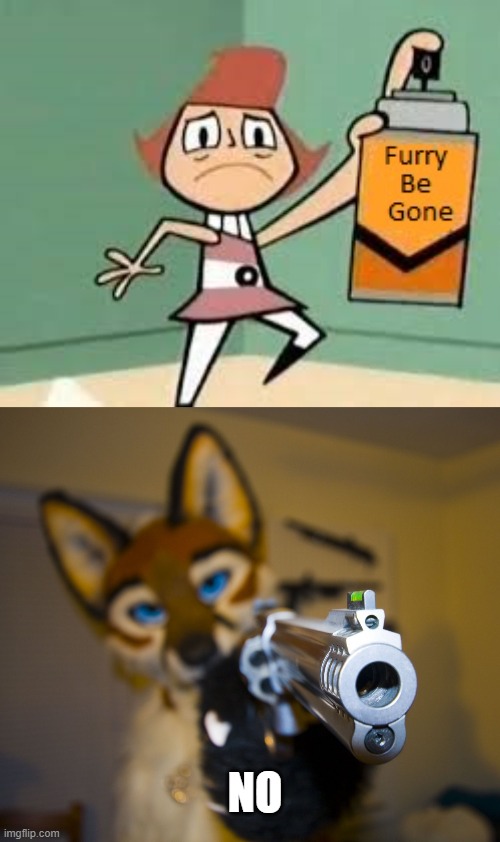 i need to kill anti furrys | NO | image tagged in furry be gone spray,furry with gun | made w/ Imgflip meme maker