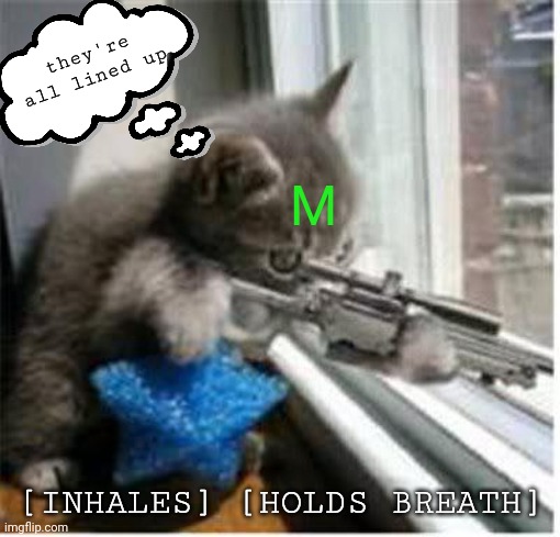 cats with guns | they're all lined up [INHALES] [HOLDS BREATH] M | image tagged in cats with guns | made w/ Imgflip meme maker