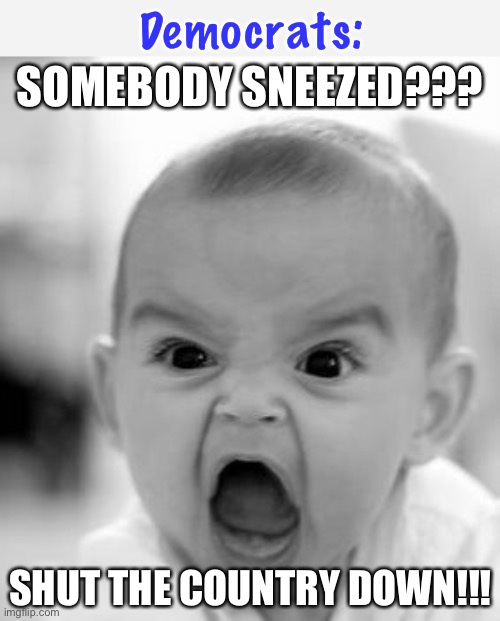 not how sickness works, but okay | Democrats:; SOMEBODY SNEEZED??? SHUT THE COUNTRY DOWN!!! | image tagged in memes,angry baby,democrats,covid,overreaction | made w/ Imgflip meme maker