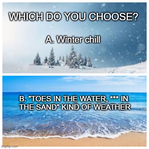 Weather | A. Winter chill; WHICH DO YOU CHOOSE? B. "TOES IN THE WATER, *** IN 
THE SAND" KIND OF WEATHER | image tagged in change my mind,two buttons,memes | made w/ Imgflip meme maker