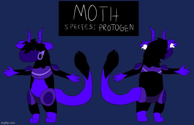 Finally made Moth a ref sheet! | image tagged in furry,art,drawings,reference | made w/ Imgflip meme maker