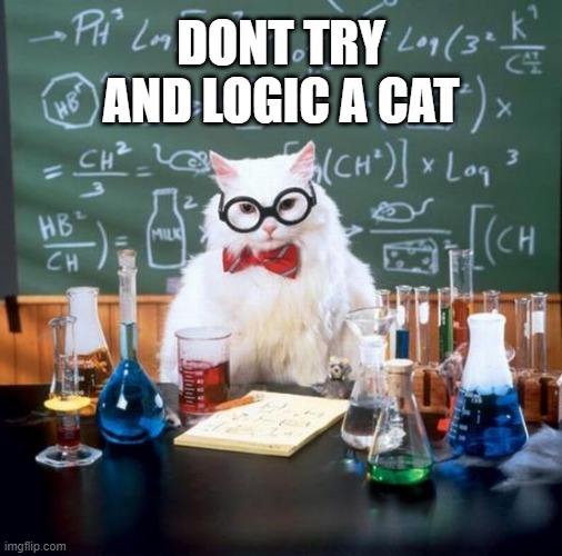 Illogical Cats | DONT TRY AND LOGIC A CAT | image tagged in memes,chemistry cat,cat | made w/ Imgflip meme maker