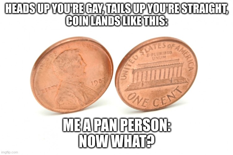coin toss | HEADS UP YOU'RE GAY, TAILS UP YOU'RE STRAIGHT,
COIN LANDS LIKE THIS:; ME A PAN PERSON:
NOW WHAT? | image tagged in coins | made w/ Imgflip meme maker