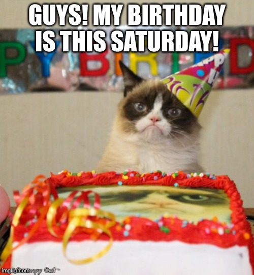 Grumpy Cat Birthday | GUYS! MY BIRTHDAY IS THIS SATURDAY! | image tagged in memes,grumpy cat birthday,grumpy cat | made w/ Imgflip meme maker