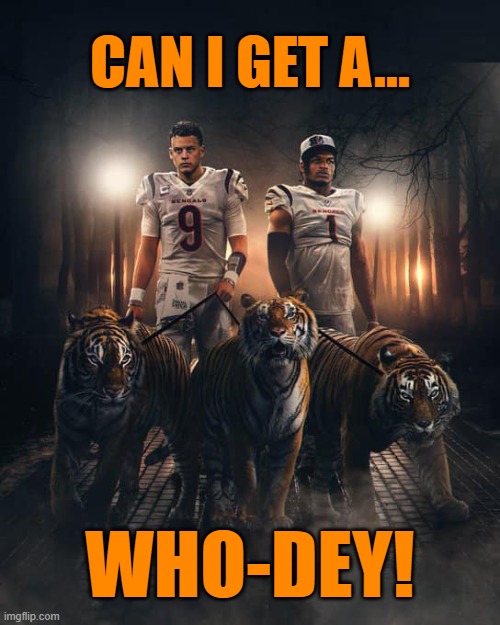 WHO DEY | CAN I GET A... WHO-DEY! | image tagged in bengals | made w/ Imgflip meme maker