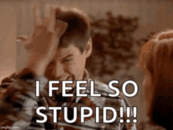 I feel so stupid | image tagged in i feel so stupid | made w/ Imgflip meme maker