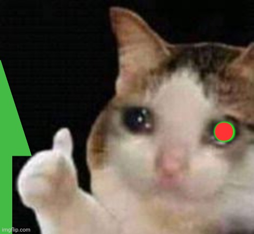 Approved crying cat | . | image tagged in approved crying cat | made w/ Imgflip meme maker