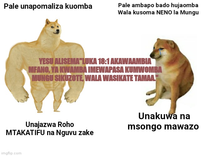 Buff Doge vs. Cheems Meme | Pale unapomaliza kuomba; Pale ambapo bado hujaomba Wala kusoma NENO la Mungu; YESU ALISEMA"LUKA 18:1 AKAWAAMBIA MFANO, YA KWAMBA IMEWAPASA KUMWOMBA MUNGU SIKUZOTE, WALA WASIKATE TAMAA."; Unakuwa na msongo mawazo; Unajazwa Roho MTAKATIFU na Nguvu zake | image tagged in memes,buff doge vs cheems | made w/ Imgflip meme maker