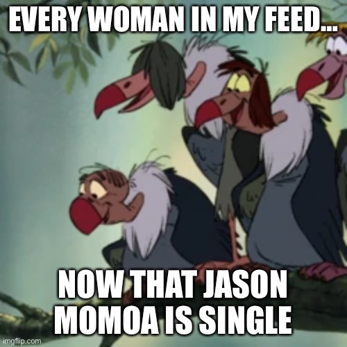 Aquaman, Jason momoa, | EVERY WOMAN IN MY FEED…; NOW THAT JASON MOMOA IS SINGLE | image tagged in single ladies,aquaman | made w/ Imgflip meme maker