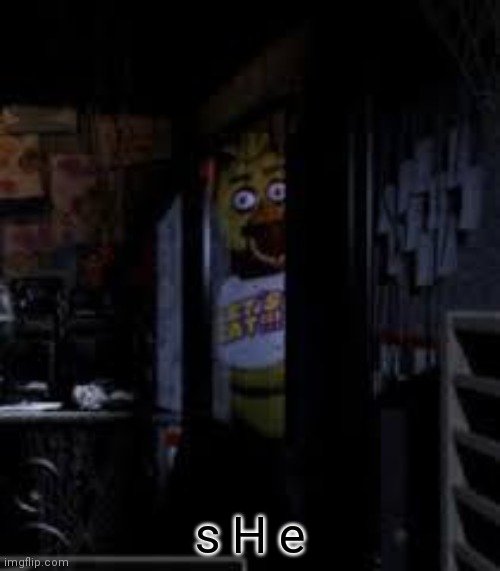 S h e | s H e | image tagged in chica looking in window fnaf | made w/ Imgflip meme maker